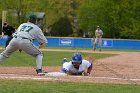 Baseball vs Babson  Wheaton College Baseball vs Babson College. - Photo By: KEITH NORDSTROM : Wheaton, baseball